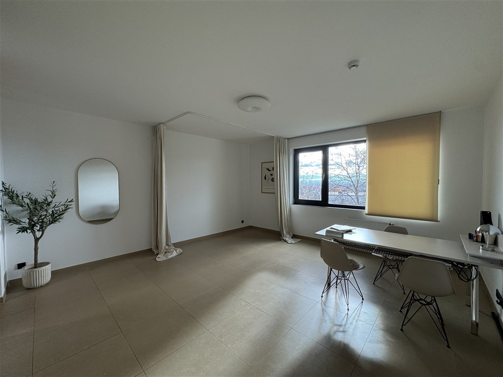 Kosmetický salon/provozovna masérských služeb, 1+kk, 37 m2, 3. NP