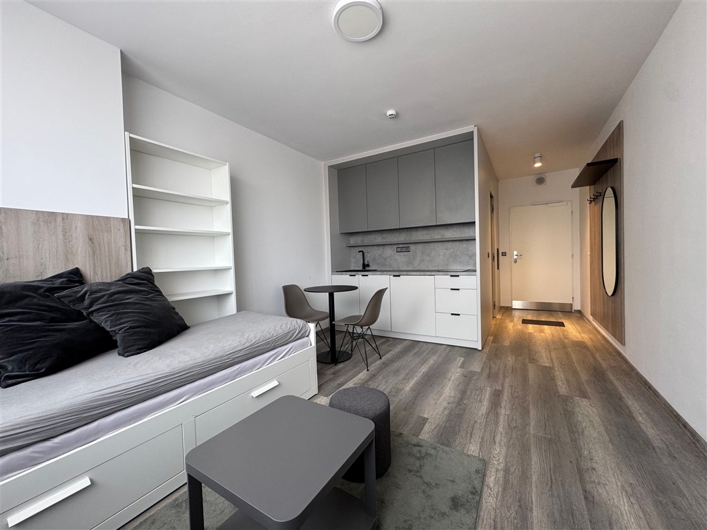 Pronájem bytu 1+kk, 24 m2